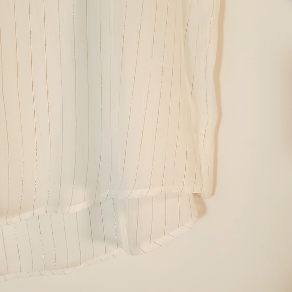 Zara Sheer Button Blouse - Picture 5 of 11